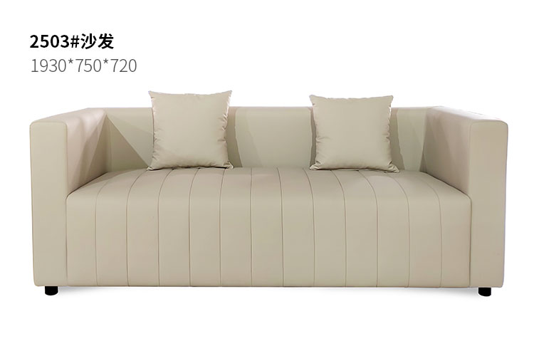 2503#定制沙发，一米九双人沙发现代简约沙发