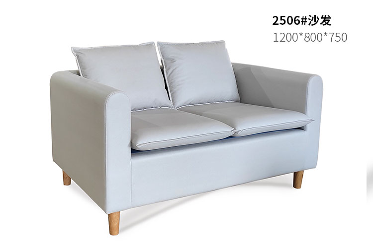 2506#酒店公寓沙发，小户型双人沙发现代简约一米二沙发